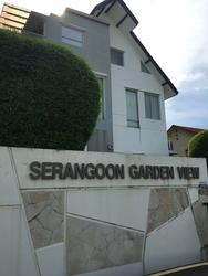 Serangoon Garden View (D19), Terrace #156916842
